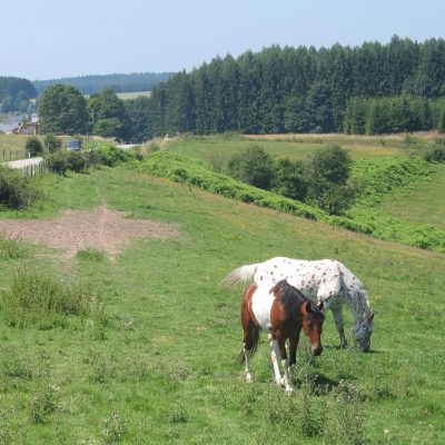 Gedinne_JPG03 Gedinne_JPG03